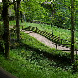 Parque del Príncipe en Cuadonga/Covadonga