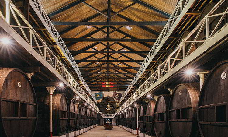 Historical cellar of El Gaitero Cider (Villaviciosa) Image of the interior of the historic cellar of Sidra El Gaitero, with the cider barrels on both sides of the central aisle, in the municipality of Villaviciosa.