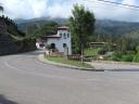 A white house and a tree in front of a sharp curve on a mountain road