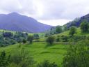 Green meadows and trees in a valley with a mountain range in the background
