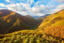 A mountainous landscape with a lush forest in autumnal tones and a valley