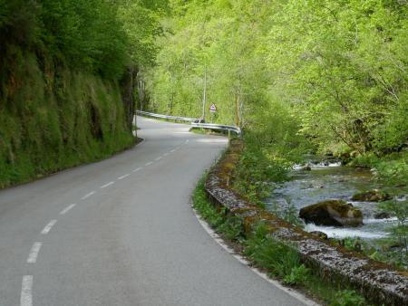 Una carretera sinuosa atraviesa un frondoso bosque junto a un río