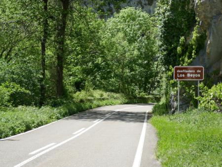 Una carretera gira a la derecha en un desfiladero rocoso rodeado de árboles