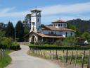 A church with a white bell tower on a rural road surrounded by trees