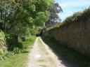 A dirt road flanked by a stone wall and leafy trees