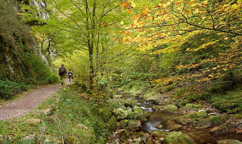 Image of the Alba Route in Sobrescobio, Redes Natural Park.