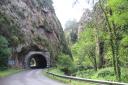 Road tunnel excavated in a rock with dense vegetation around it