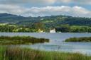A wide estuary with green hills, white houses in the background, and a landscape of riverside vegetation