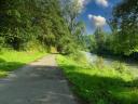 A dirt path runs along the bank of a river with lots of vegetation
