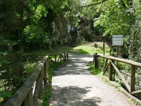 Viewpoint of the Bear