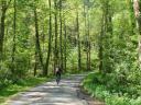 Cyclist on route along the Fuso Greenway