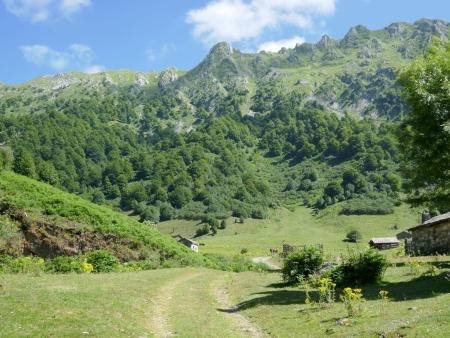 Vega de Brañagallones