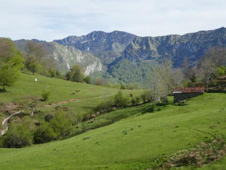 Imagen Sellañu-Beleño-Bedules