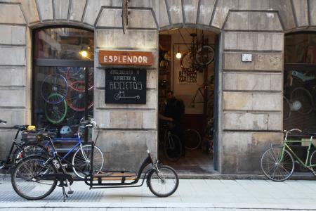 Imagen Ciclos Esplendor