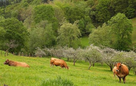 Route Sietes - Llames de Parres 4