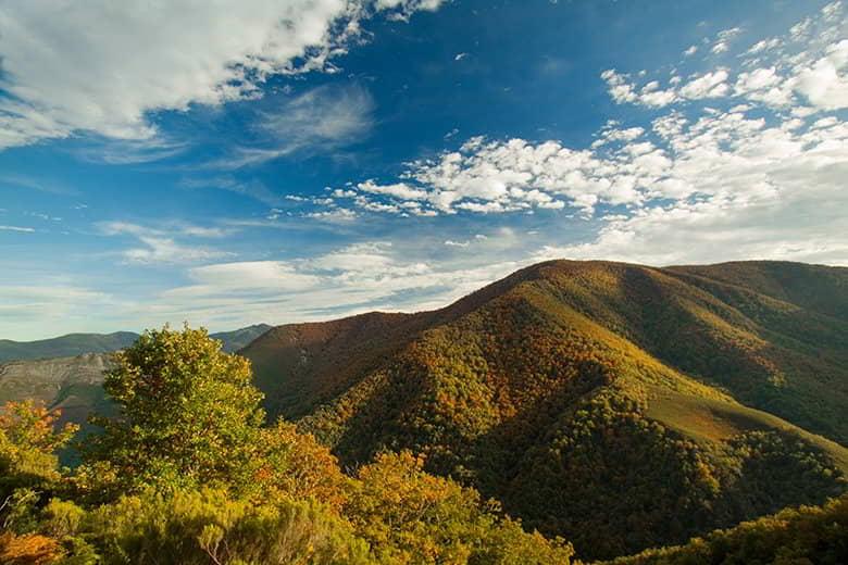 Panoramic view of the Muniellos Forest in autumn.