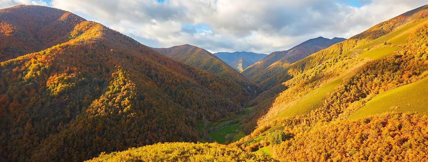 Autumn landscape of the Muniellos forest with a predominance of warm tones. Valley surrounded by tree-covered hills with ochre and green tones.
