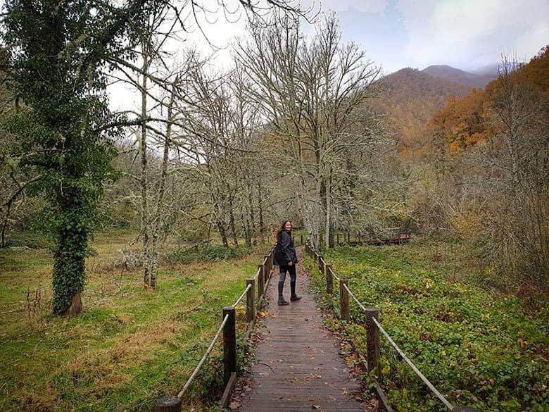 A woman walking along the adapted path in the Muniellos Forest that goes through the trees.