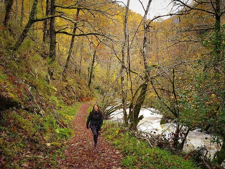A woman walking along a footpath in the forest. The path is full of fallen leaves and is on the side of a river.