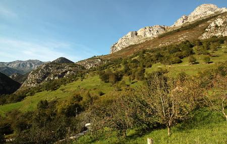 Imagen Stage 2: Alles - Carreña