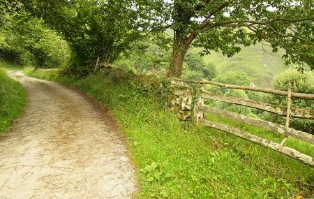 Camín Real del Sellón 2