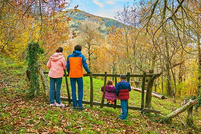 Imagen del Bosque de Moal (Cangas del Narcea)