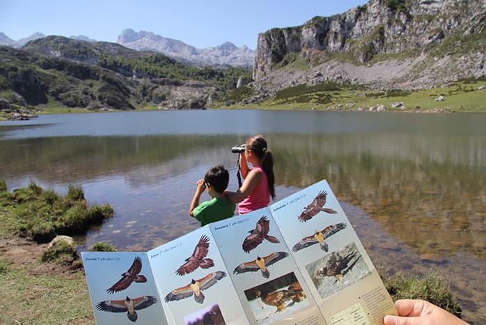 Imagen de un Itinerario ornitológico