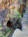 Entrance to a mine surrounded by wild vegetation