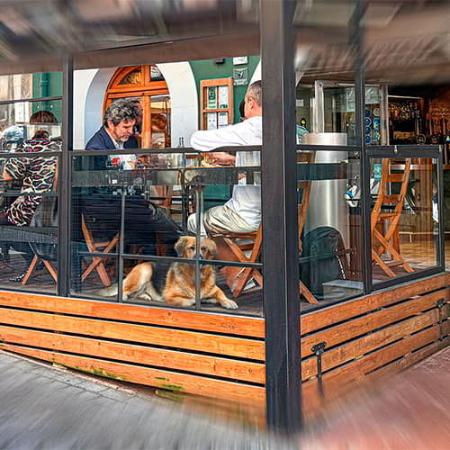 Image Where to eat with your pet