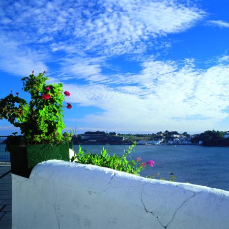 Views from a balcony with flowers to a bay and a coastal town