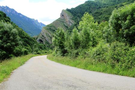 Curve on a lonely road between trees, mountains, and rock formations