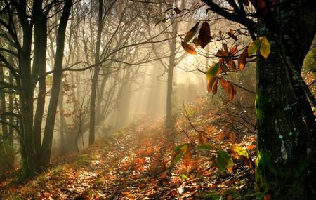 Imagen The cradle of the 