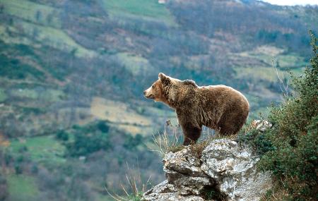 Imagen Oviedo/Uviéu, the Pre-Romanesque and the Bear Valleys