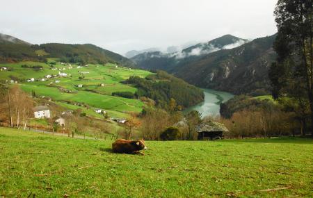 Imagen The castreña culture and the Navia Historical Park