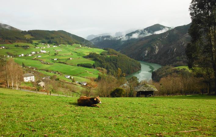 Go to Image The castreña culture and the Navia Historical Park