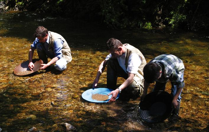 Go to Image Asturian gilding