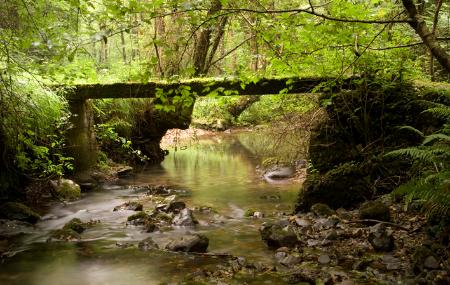 Imagen Cider, the beverage promoted by Strabo