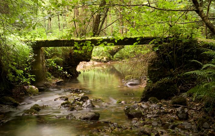 Go to Image Cider, the beverage promoted by Strabo