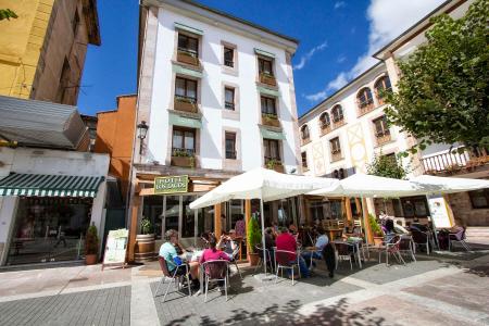 Imagen Hotel Los Lagos Nature Meeting Room