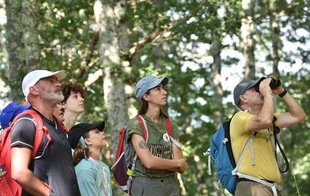 Imagen Biointerpreted Walks