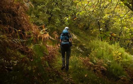 Terix Biointerpreted Walks Terix Biointerpretation