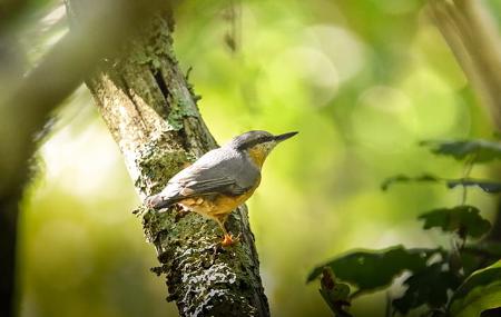 Terix Biointerpreted Walks Terix Biointerpretation