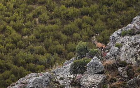 Terix Biointerpreted Walks Terix Biointerpretation