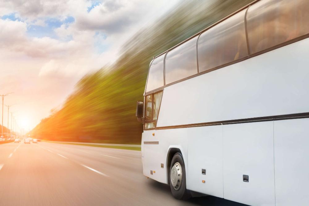 Image How to get here by bus