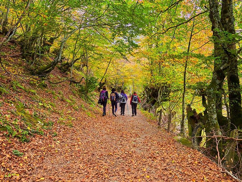 Image of the Tabayón del Mongayu route (Caso)