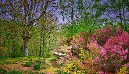 Imagen Plans to enjoy spring in Asturias