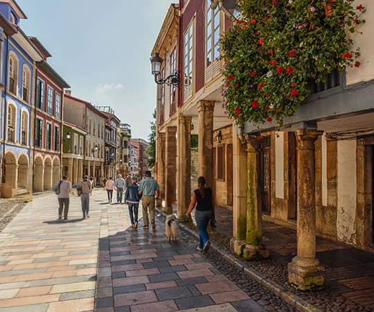 Una persona paseando con su perro por la calle Rivero de Avilés en un día soleado.