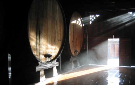 Alicia Trabanco Apfelweinmühle