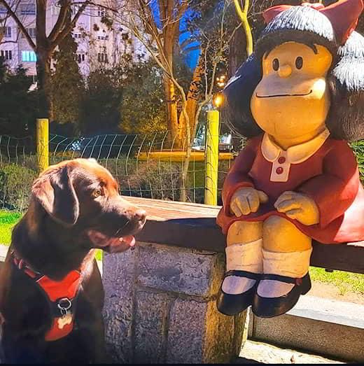 Estatua de Mafalda en Oviedo junto a un perro marron en un plano corto.