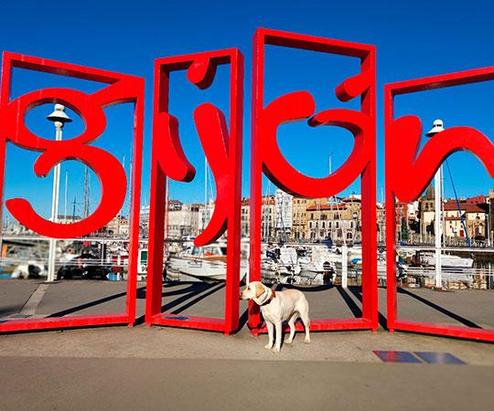 Las Letronas (les lettres du nom de Gijón en très grand format pour les photos souvenirs) avec un chien devant.